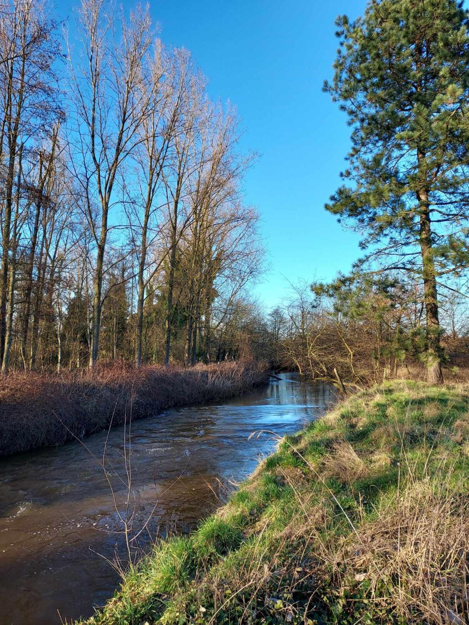 Rustig Gelegen Chalet Solvo Met Terras Aan Het Water Geel Luaran gambar